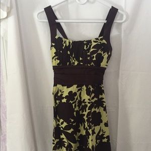 Brown & Mint Spring Dress